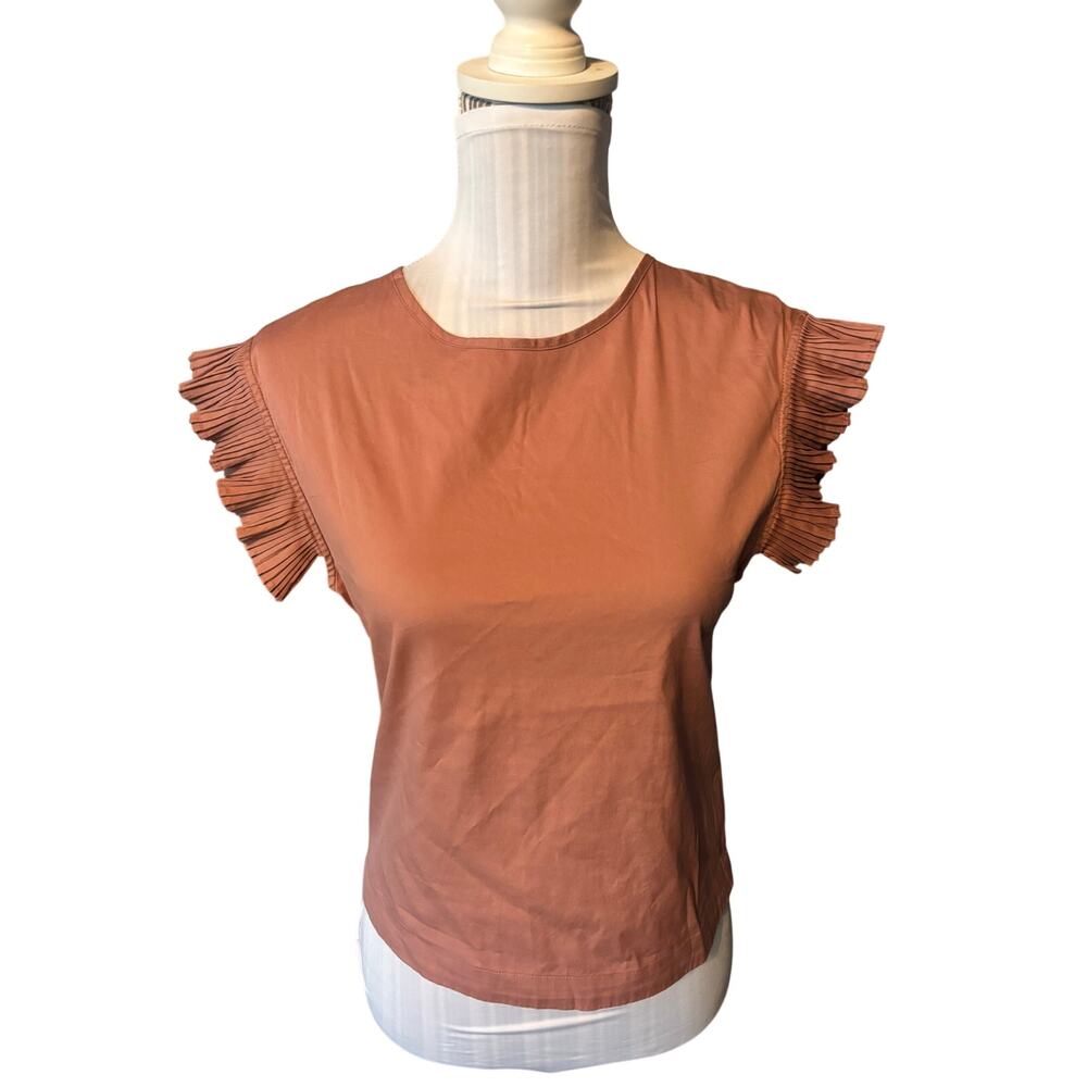 Express Dusty Rose Ruffle Sleeve Blouse Size XXS